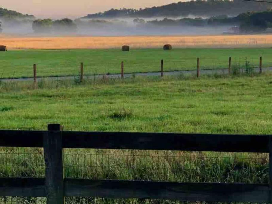 Pleasant Valley Farm Dairy Barn Writer'S Retreat Columbia Dış mekan fotoğraf